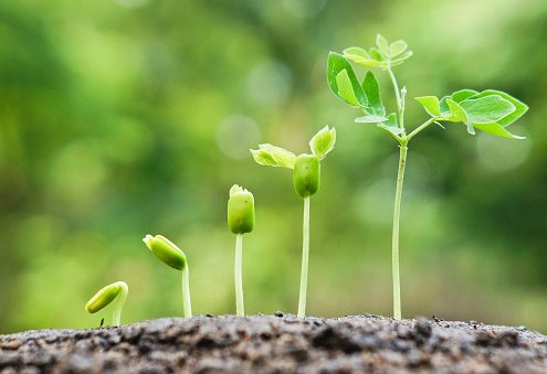 5 Types of Content to Boost your Advisor Website Traffic